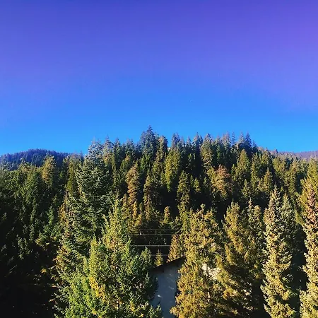 Rancho Apartmán Laax